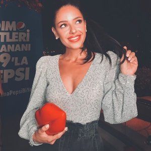 Zara V-neck Puff Sleeve Silver Sequin Top